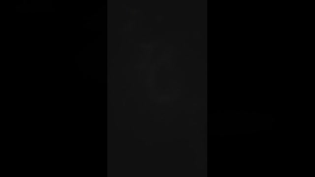 triporxs  04-06-2022